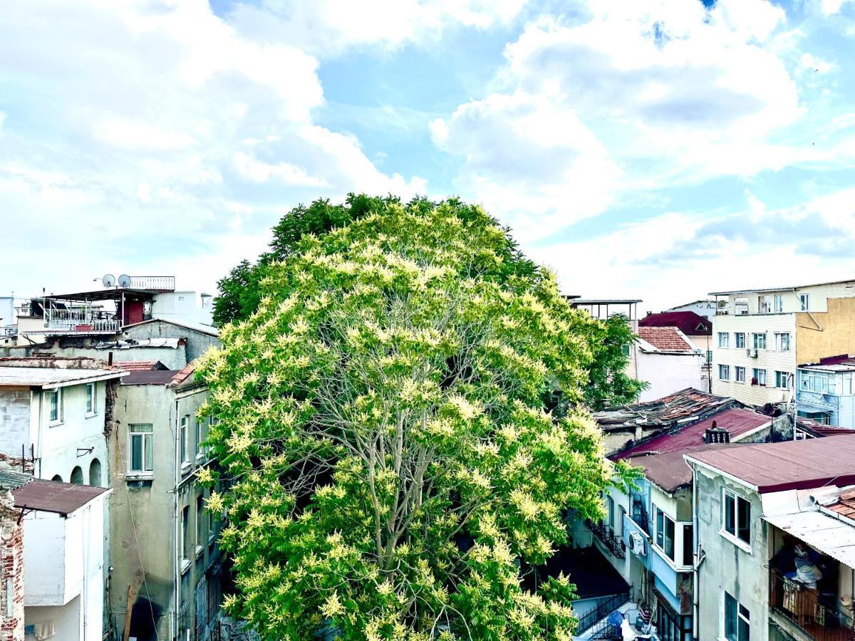 Alaca Suit, Istanbul